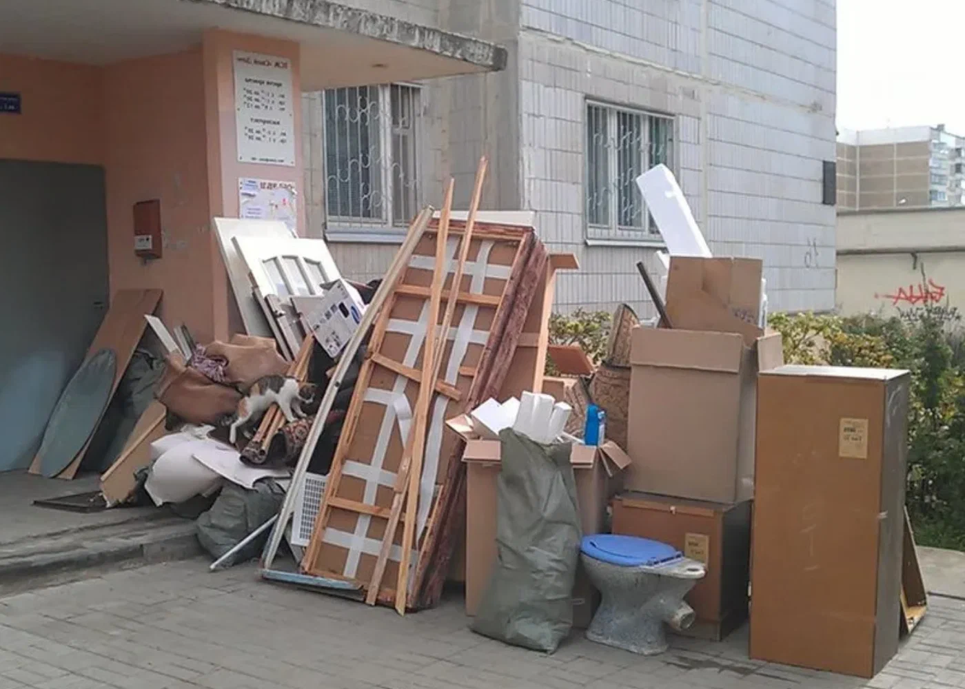 Профессиональный вывоз мусора из квартиры в Омске в октябре
