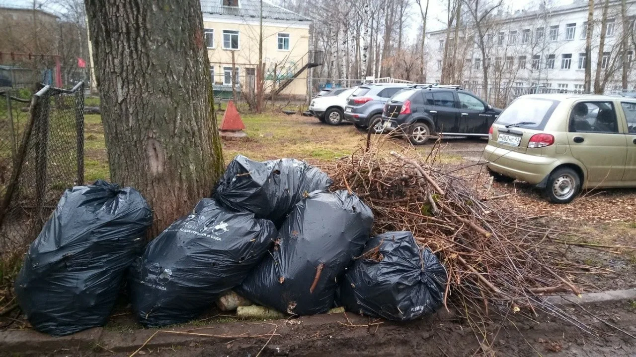 Вывоз мусора после субботника в Омске от ПроМусор – уборка и утилизация отходов от 2437 руб