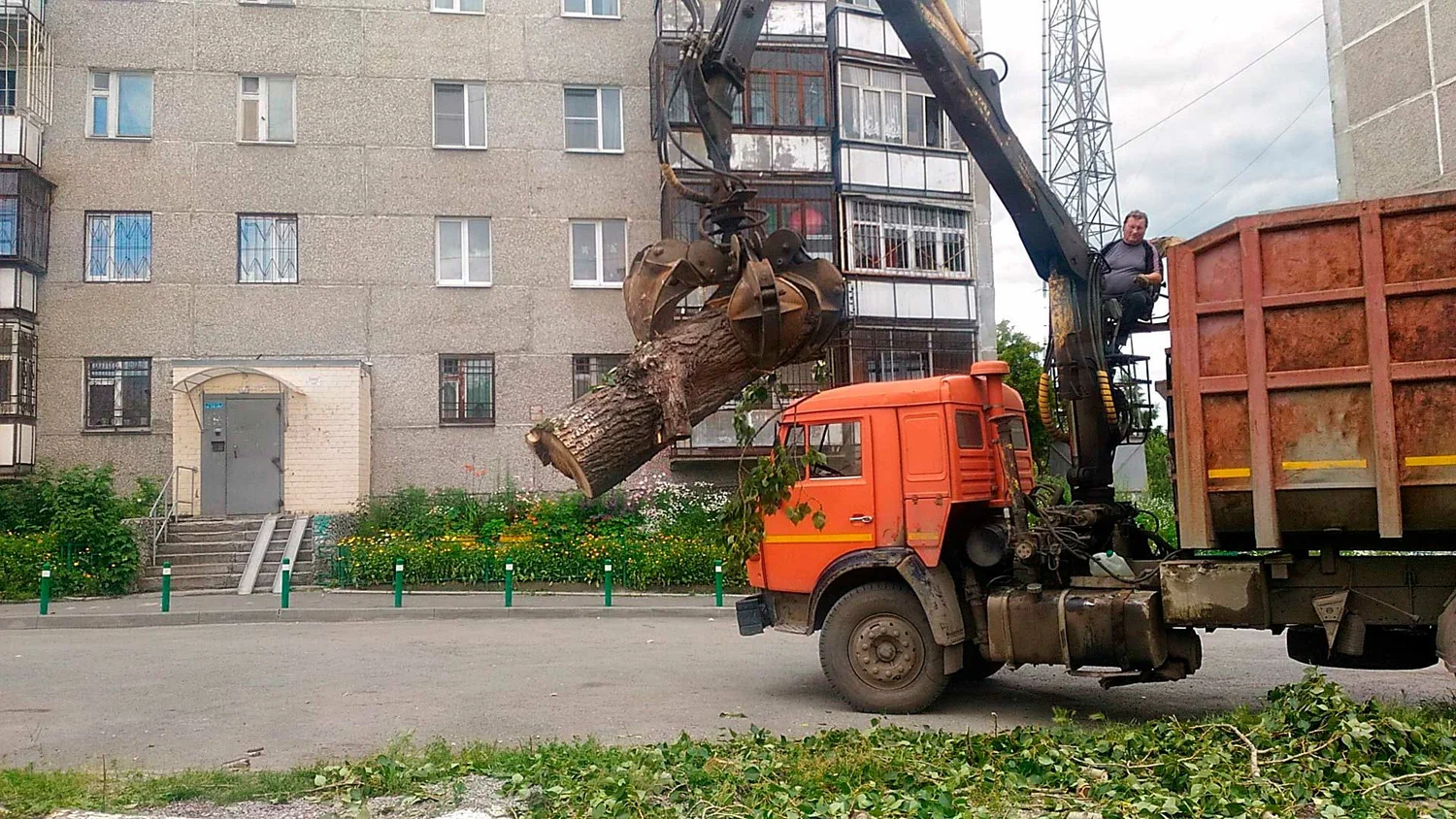Вывоз спиленных веток и деревьев в Омске от ПроМусор: порубочные остатки, утилизация, цена от 3007 руб