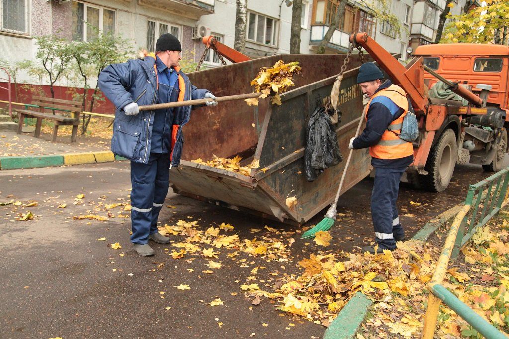 Вывоз опавшей листвы и растительного мусора в Омске от ПроМусор – цена от 4666 руб., быстрая уборка и утилизация